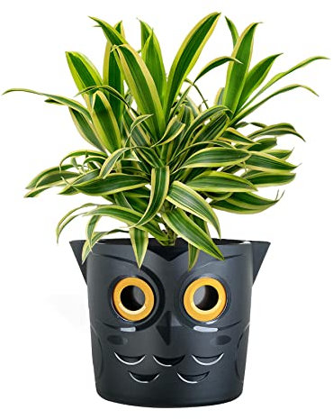simpa 2.5L Novelty Plastic Indoor Smart Watering Plant Flower Pots - Black Owl Pot 19cm (H) x 20cm (Dia).