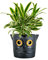 simpa 2.5L Novelty Plastic Indoor Smart Watering Plant Flower Pots - Black Owl Pot 19cm (H) x 20cm (Dia).