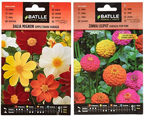 Semillas Batlle Dalia Mignon Simple enana vda. & Zinnia LILIPUT variada (Pom Pom)
