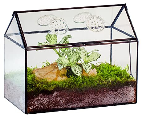 NCYP Glass Terrarium Box with Lid and Air Holes - 26x15x21 cm | House Shape Terrarium Planter for Snails, Ferns, Moss - Tabletop Decor, Black (Plants NOT Included)