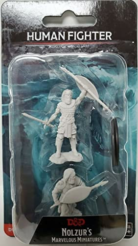 Dungeons & Dragons D&D Nolzur's Marvelous Miniatures - Human Fighter Male (6 Units)