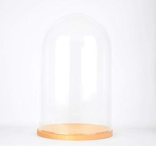 EMH Large Handmade Mouth Blown Glass Dome with Natural Wooden Base 52x31 cm