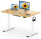 FLEXISPOT ONE PIECE Electric Standing Desk Height Adjustable Desk Sit Stand Desk with 4 Memory Smart Pannel and Backpack Hook for Home Office, 120 x 60cm Maple
