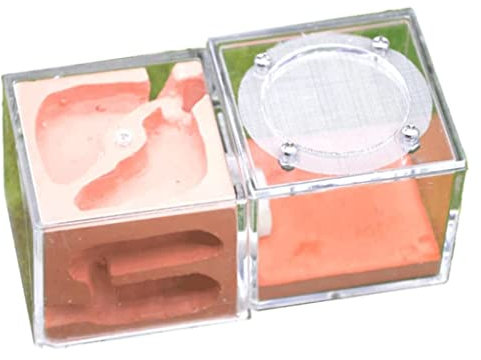 HRTC Kreatives Mini-Ameisenschloss Acryl-Ameisennest Gips Ameisennest Farm Acrylnest Palast Einfach zu installierende Ameisenfarm