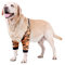 Harikaji Ellbogenschutz für Hunde, Ellenbogenschoner mit Netzpolster für mittelgroße und große Hunde, verhindert Wundlecken (Tiger, XL)