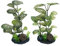 M2cbridge Plantas Artificiales de Seda para peceras, Plantas de plástico para Acuario, decoración de Primer Plano (2 Unidades)