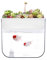 MUMUCW Mini Aquaponic Ökosystem Aquarium wachsen Pflanzen Samen-Keimgerät Quecke Sprouts hydroponischen Reinigung des Ökosystems Wasser-Garten-Fisch-Behälter