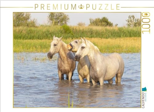 CALVENDO Puzzle Verschnaufpause | 1000 Teile Lege-Größe 64 x 48 cm Foto-Puzzle für glückliche Stunden