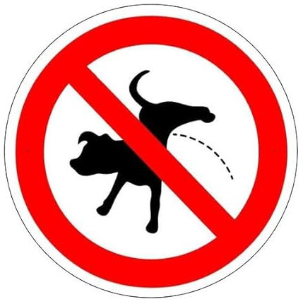 GLOBAL CARTELLO SEGNALETICO QUADRATO - NO PIPI CANE - segnale Adesivo Extra Resistente, Pannello in Forex, Pannello In Alluminio (Adesivo, 10 cm Lato)