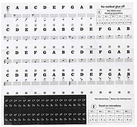 Mtlavish Klavieraufkleber für Anfänger Transparent Haltbarer Kleber mit Zahlen und Notizen Geeignet für Jede Klavier Tastatur PVC Schwarzweiß Größe ca. 227 x 246 mm Einfache Installation Lernhilfe Vis