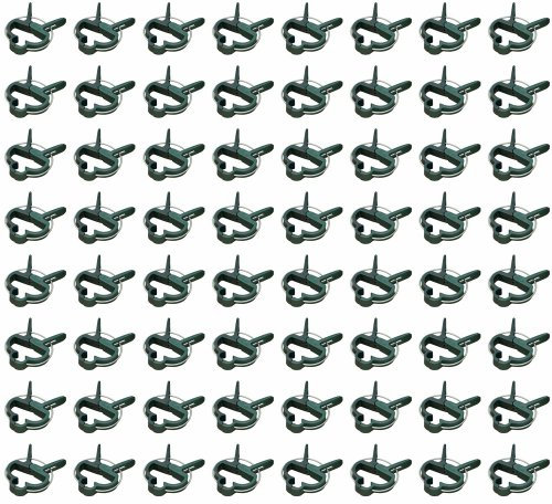 all-around24 stabile Clips Pflanzenklammern für kleine & große Triebe gefederte Pflanzenclips Tomatenclips Orchideenclips (40 Gross)