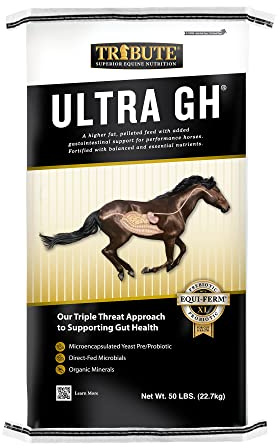 Tribute Ultra GH Horse Feed with Gut Health Support, 50 lb Bag