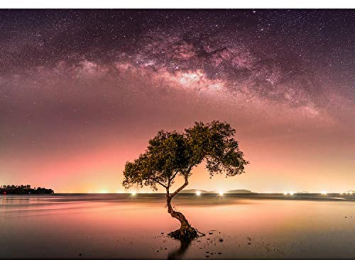 Runa Art Fototapete Nachthimmel Baum 352 x 250 cm Vlies Tapeten XXL Moderne Wandtapete Wohnzimmer Schlafzimmer Orange 9590011b