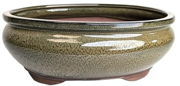 Pots à bonsaï en céramique émaillée sans plateaux Vert olive 26 cm