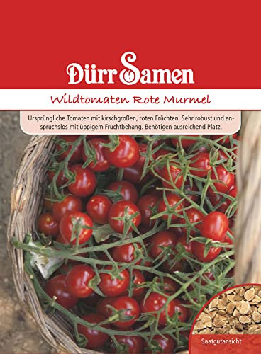 Wildtomaten Samen Rote Murmel Rote Tomate Tomatensamen ca 10 Korn Saatgut Robust Ertragreich Garten Hochbeet Kübel Dürr Samen