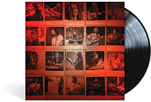 No One Sings Like You Anymore [Vinyl LP]