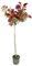 Pianta di PHOTINIA RED ROBIN alberello FOGLIA ROSSA h 120cm VASO 24 FOTO REALE AMDGarden
