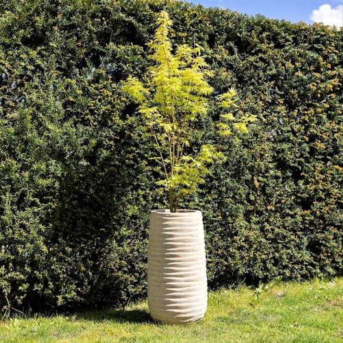 Primrose H59cm Terracotta Tall Round Planter In Cream Garden Patio Flower Pot