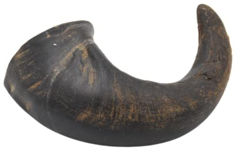Express Pet Supplies Medium Buffalo Horn Dog Treat Chew 5 pack | Hypoallergenic, High Protein, Low Fat, Grain and Gluten Free