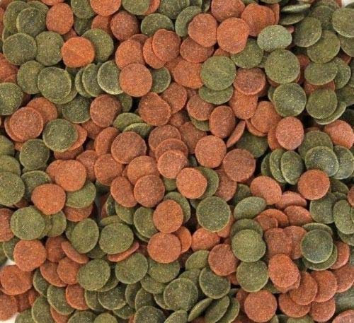 Wohnkult Hausmarke Mini Wafers Spirulina Color und Mix für alle Corydoras u. Bodenbewohner Krebse Garnelen UVM. TOP Futter Fischfutter (1000 ml Mix)