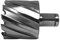 PAULIMOT HSS-Kernbohrer mit Bohrtiefe 30 mm, Ø 50 mm