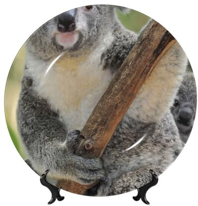 Feehsp Koala, assiette décorative en porcelaine tendre avec présentoir,7 pouces