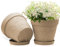 ZMTECH 25 cm Plant Pots with Saucers & Drainage Holes, 10 Inch Plastic Terracotta-Look Planter, Large Flower Pot for Indoor Outdoor Snake Plant Aloe Monstera House Plants (Light Brown, Set of 2)
