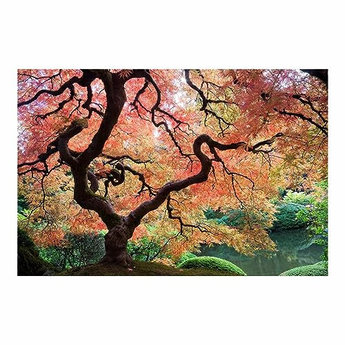Bilderwelten Fototapete Wald Japanischer Garten 320 x 480 cm Vlies-Tapete XXL Waldtapete Smart Wandtapete Wanddekoration Wohnzimmer Schlafzimmer