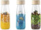 PETIT BOUM- Apprenez Les différentes Couleurs et Sons, 47649, Multicolore, 1, inclus Bouteille sensorielle + manuel (français non garanti)