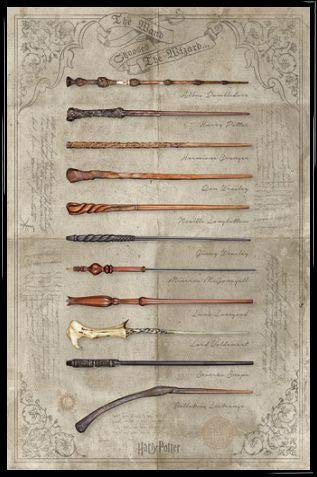Harry Potter Poster Plakat | Bild und Kunststoff-Rahmen - The Wand Chooses The Wizard (91 x 61cm)
