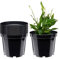Garronda Pots Horticulture Ronds Pots pour Culture de Plants de Plantes et Fleurs GD-0025 (10 Pièces Noir, ⌀ 15cm H 12cm)