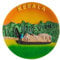 Kerala India Refrigerator Magnet Travel Souvenir 3D Fridge Decoration Magnetic Sticker Hand Painted Craft Collection