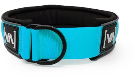 VITOMALIA® Ultraleichtes 5cm breites reflektierendes Zugstopp Hundehalsband, Robustem Nylon und Weichem Neopren, Halsband für große Hunde, zugstopp Halsband (5cm/L = 45cm-56cm, Türkis)