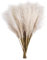 Pampa essiccata decorativa – bouquet di pampa essiccato per matrimonio | alta della pampa | fiori artificiali | bouquet di di canna per matrimonio | decorazione da tavolo in stile