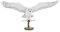 Fascinations PS2007 Metal Earth Metallbausätze - Harry Potter Schnee Eule Hedwig, lasergeschnittener 3D-Konstruktionsbausatz, 3D Metall Puzzle, DIY Modellbausatz mit 2.5 Metallplatinen, ab 14 Jahre
