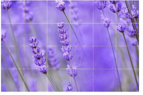 GRAZDesign Fliesenaufkleber Bad & Küche 15x15cm - 24 Stück | Motiv Lavendel wasserfeste & selbstklebende Klebefliesen | Fliesenfolie 90x60cm