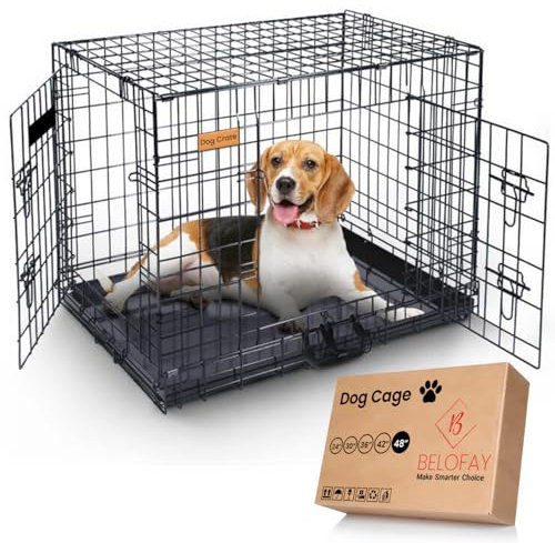 BELOFAY Dog Crate | Dog Cage 48-Inch Heavy Duty | Collapsible Metal Frame with Dual Access Doors, Chew-Resistant Removable Base Tray, Sliding Lock & Carry Handle – Ideal for Puppy Training & Travel