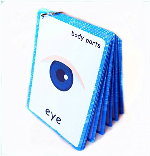 SANTSUN 36 Parts of My body parts Flashcards