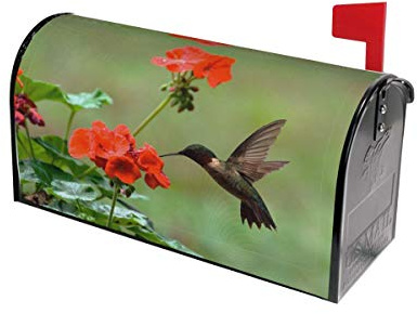 Mount Hour Hummingbirds Birds Spring Summer Red Flowers Blossom Mailbox Covers Magnetic Floral Post Box Cover Wraps Standard Size 21x18 Inches for Garden Yard Decor