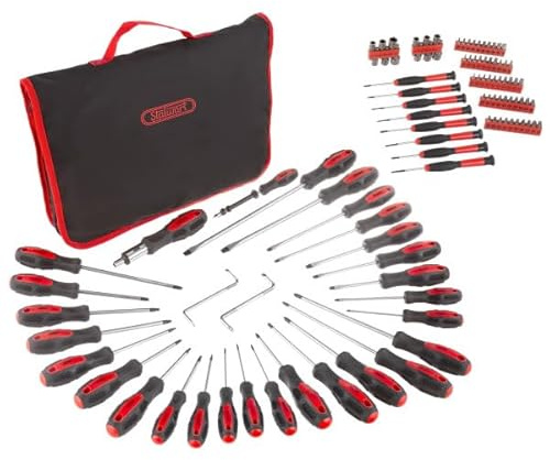 Screwdriver Set - 100-Piece Magnetic Screwdriver Bit Set with Standard and Precision Screwdrivers, Ratchet Handle, and Carry Bag by Stalwart (Red)