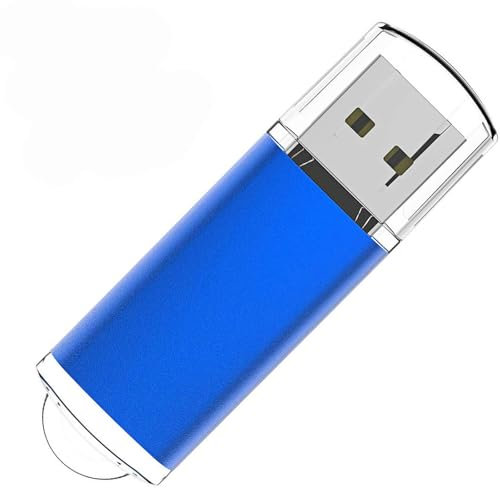 Cle USB 64 Go, WISEORANGE Clé USB 2.0 Flash Drive avec Lumière LED pour Le Stockage et la Sauvegarde (Bleu)