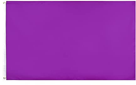 hxflag Flagge, einfarbig, 91 x 152 cm violett