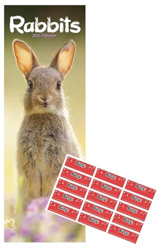 Kaninchen schmaler Kalender 2021 | Hunderasse Slimline Kalender | 12 Monate | mit Organisationsaufklebern