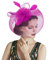 Damen Vintage Federhut Mesh Hut kreativer Haargummi-Kopfschmuck Feder Blumen Zylinder Mesh-Kopfbedeckung hübsch Haarnadel Braut Kopfbedckung für Hochzeit Cocktail Kirche Tee Party Jockey Club