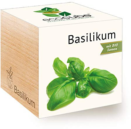 Feel Green Ecocube Basilikum, Bio Zertifiziert, Nachhaltige Geschenkidee (100% Eco Friendly), Grow Your Own/Anzuchtset, Pflanzen Im Holzwürfel, Made in Austria