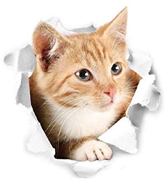 Sticker mural pour toilettes Motif chat mignon de qualité supérieure