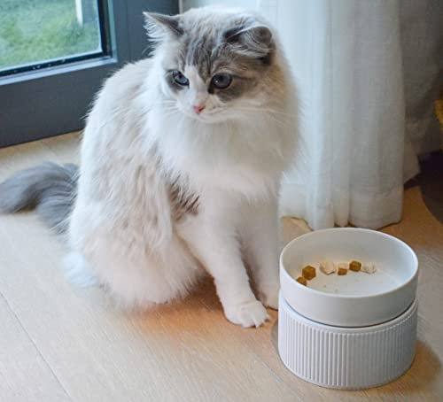 2-in-1 Elevated Cat Bowl,Elevated Bowl Stand, Water Bowls Anti Vomiting, High Rise Ceramic Pet Food Bowl for Cats,Small Dogs,Protect Pet's Spine,Dishwasher Safe (White)