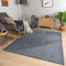 TT Home Wohnzimmer Teppich Esszimmer Kurzflor Geometrische Optik Skandi Boho Unifarben, Farbe:Dunkelgrau Anthrazit, Größe:120x160 cm