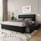BTM Polsterbett 140x200 cm, Bettgestell mit LED-Beleuchtung und 4 Schubladen, Doppelbett Polsterbett 140x200cm, Höhenverstellbarem Kopfteil, Lattenrost aus Holz,Schwarz,(Ohne Matratze)