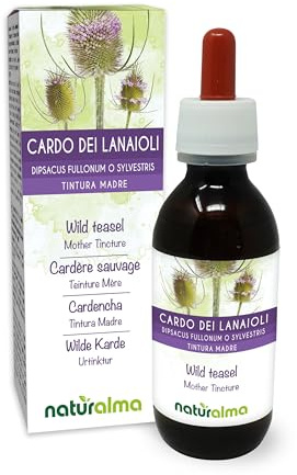 Cardère sauvage ou Cabaret des oiseaux (Dipsacus fullonum ou D. sylvestris) racines Teinture Mère sans alcool Naturalma - Extrait liquide gouttes 120 ml - Complément alimentaire - Végétalien ou végan